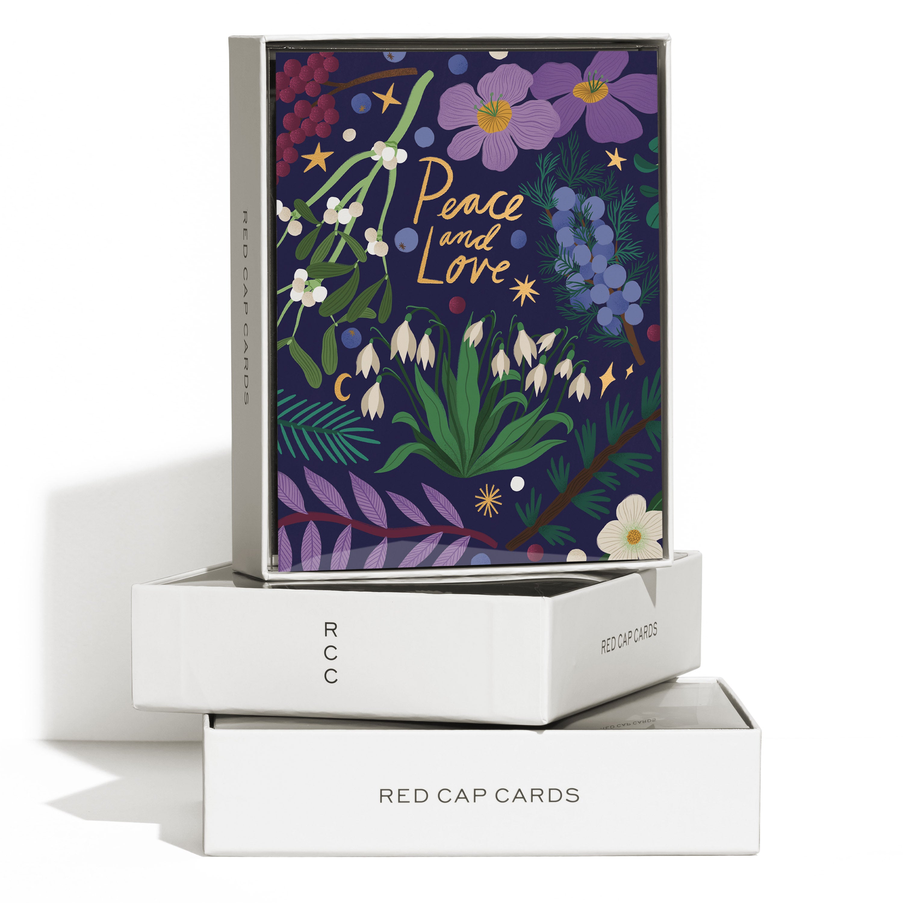 Winter Botanicals greeting card