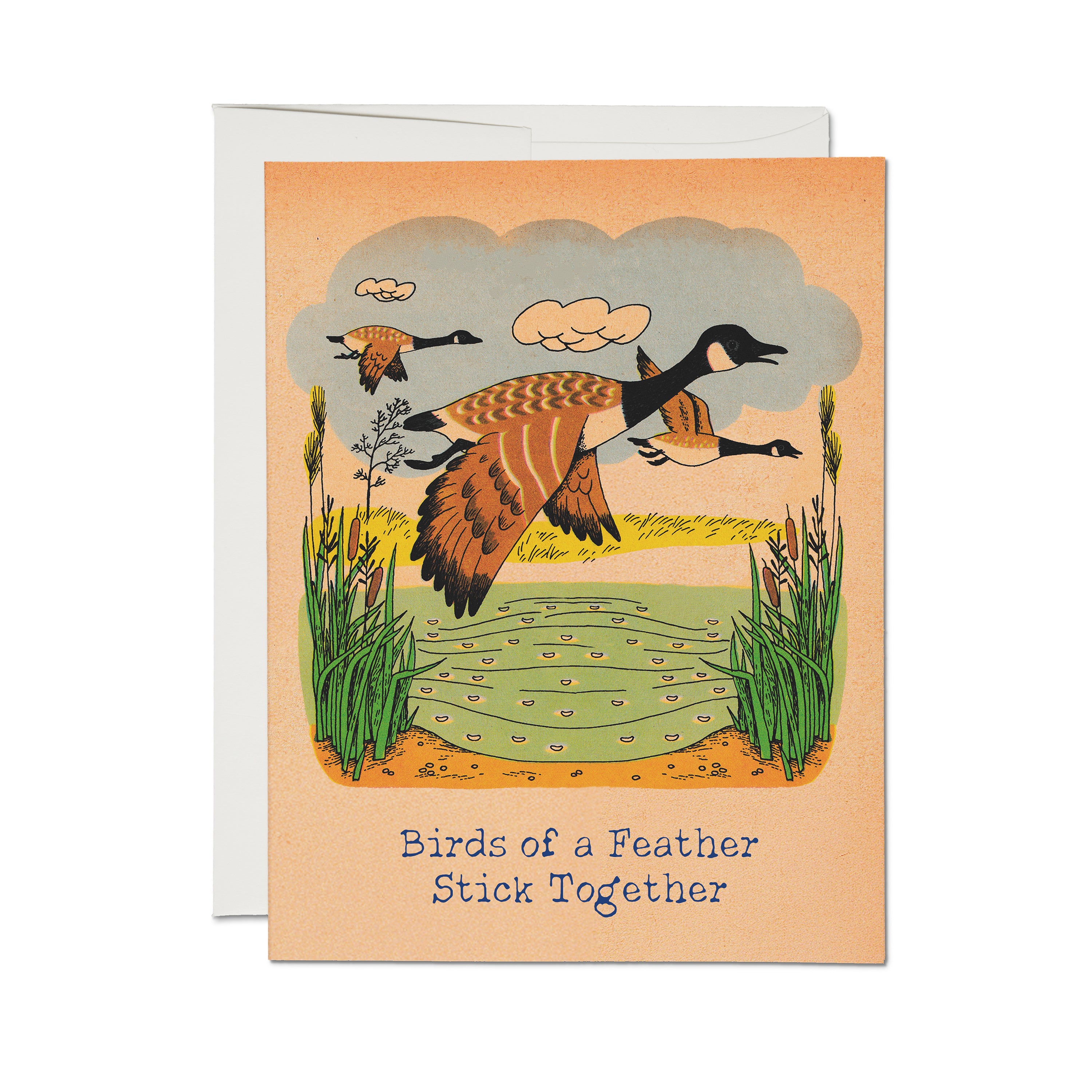 Greeting card with illustration of geese and the text 'Birds of a Feather Stick Together' on a peach background.