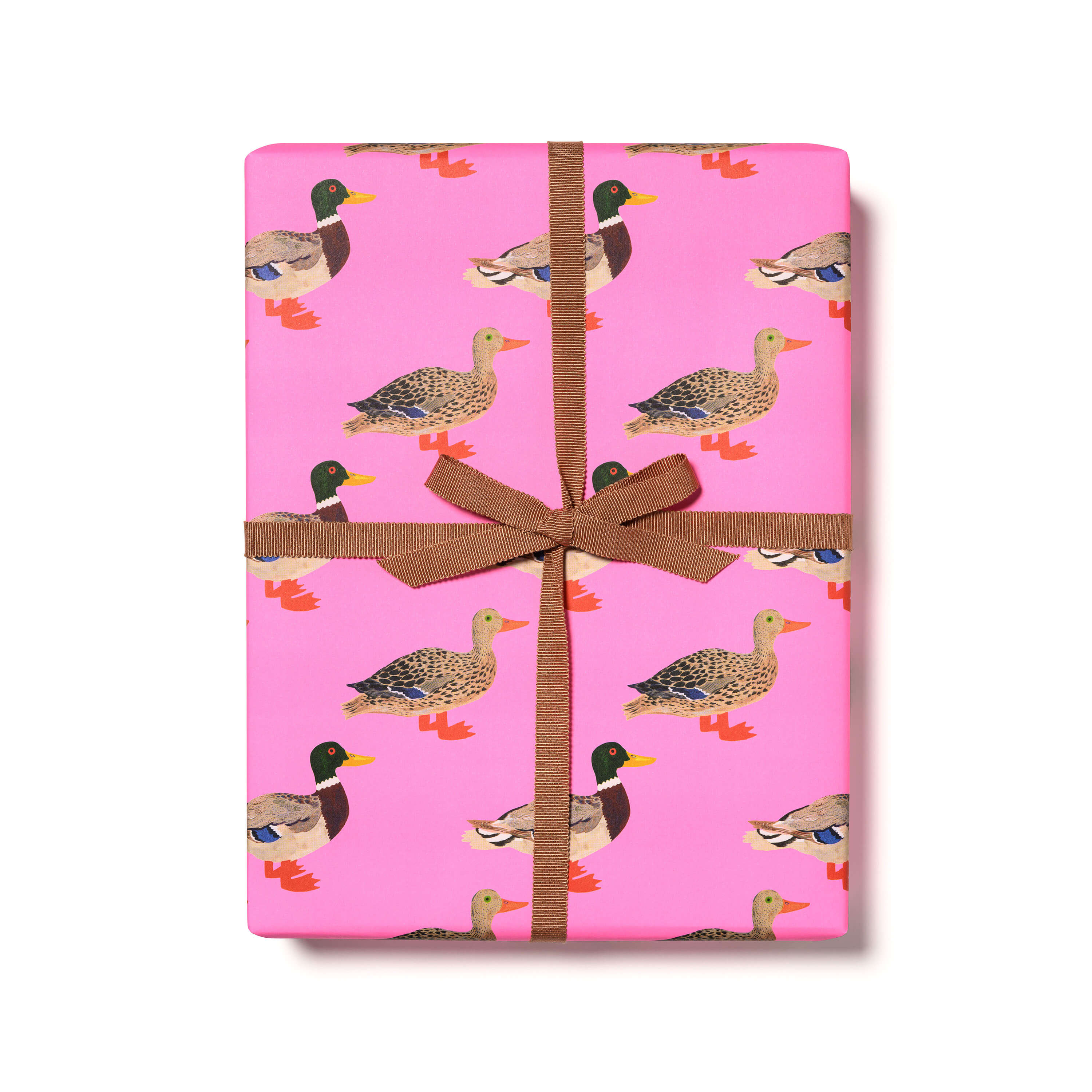 Quacky Birthday wrapping paper
