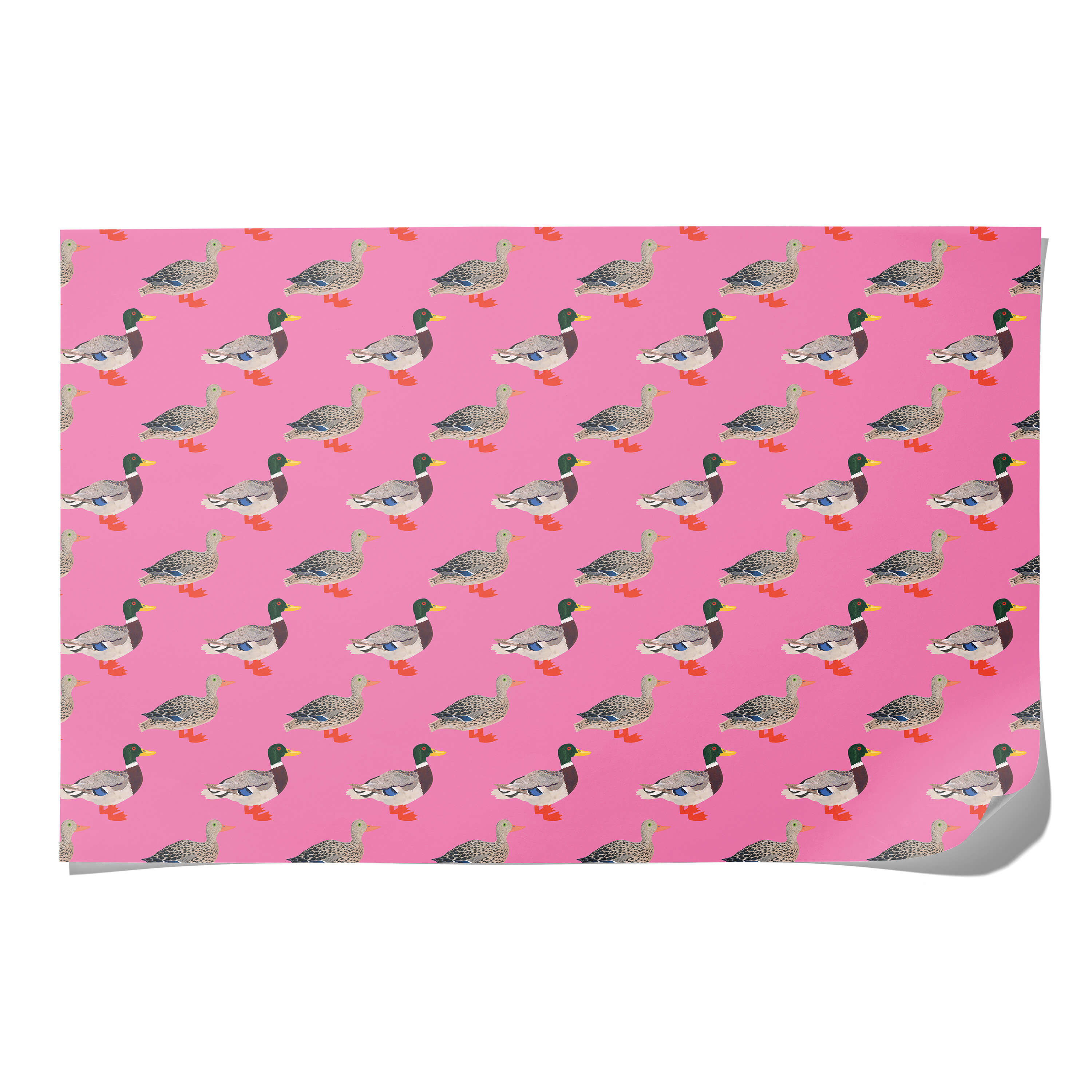 Quacky Birthday wrapping paper Single