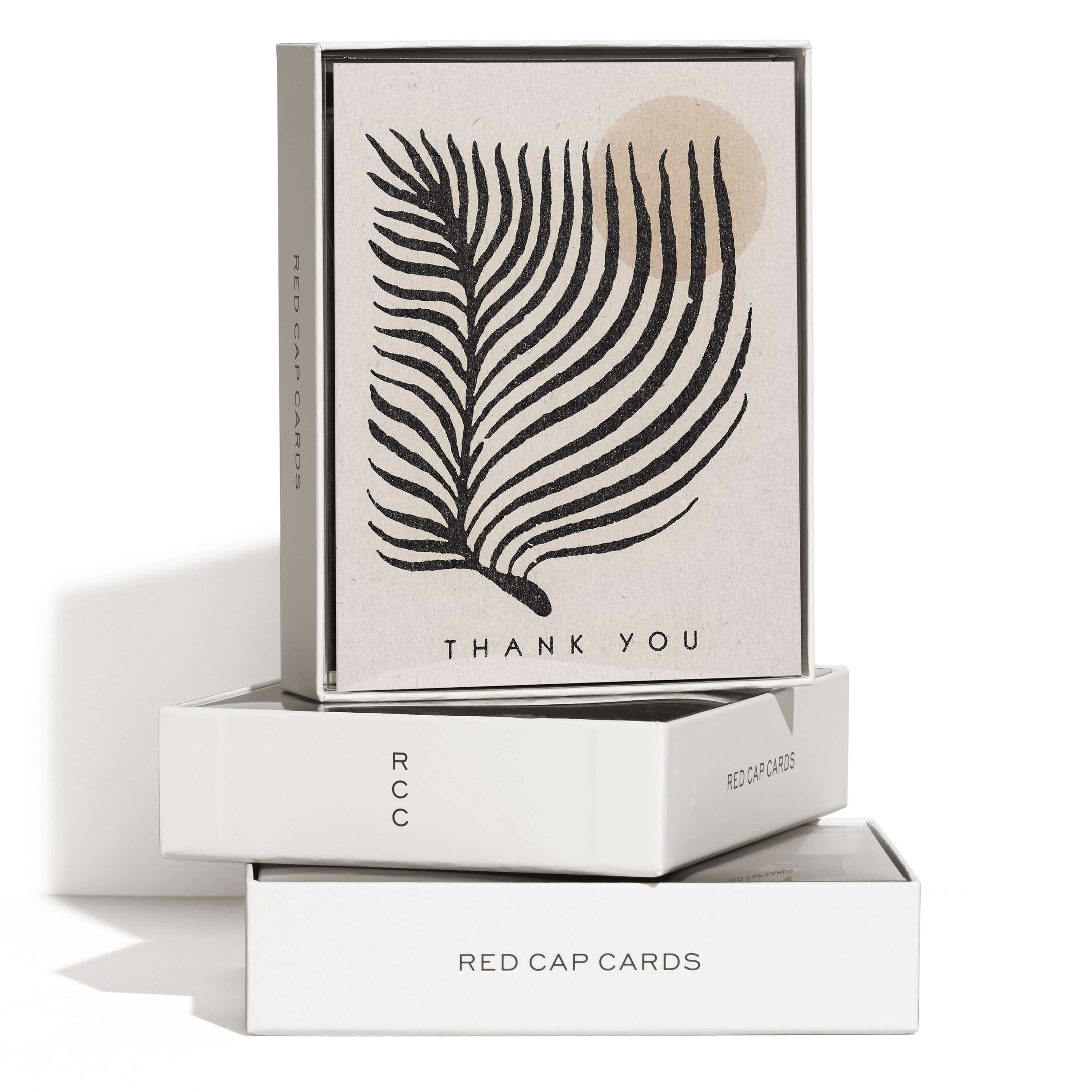 Palm Sun greeting card