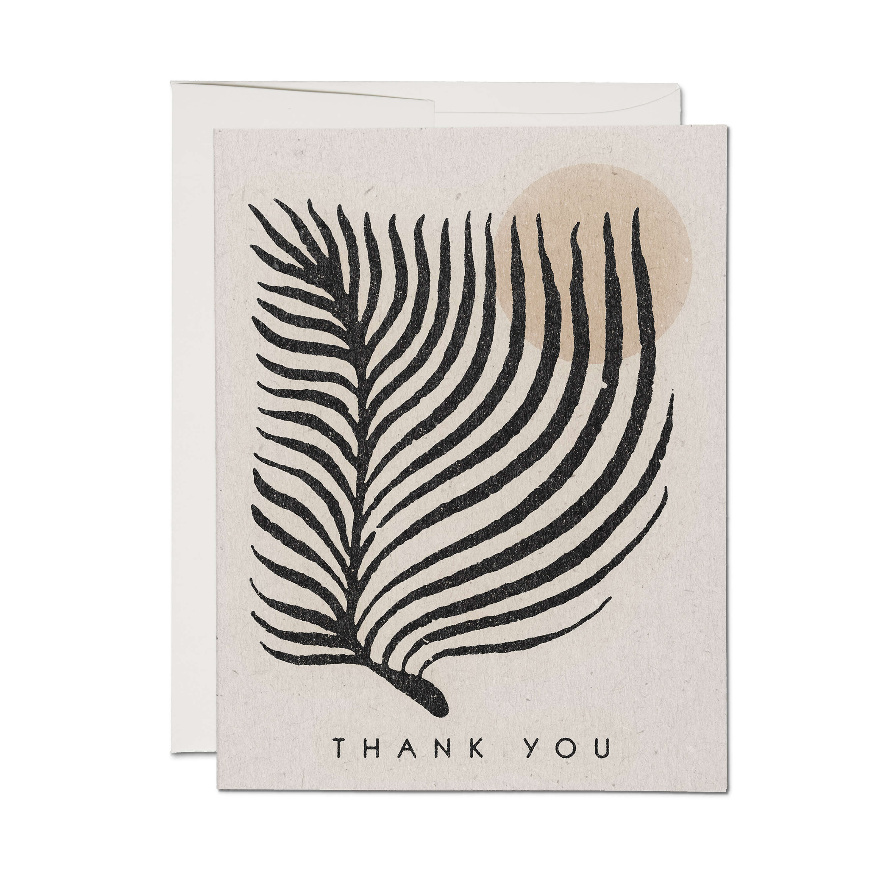 Palm Sun greeting card Single
