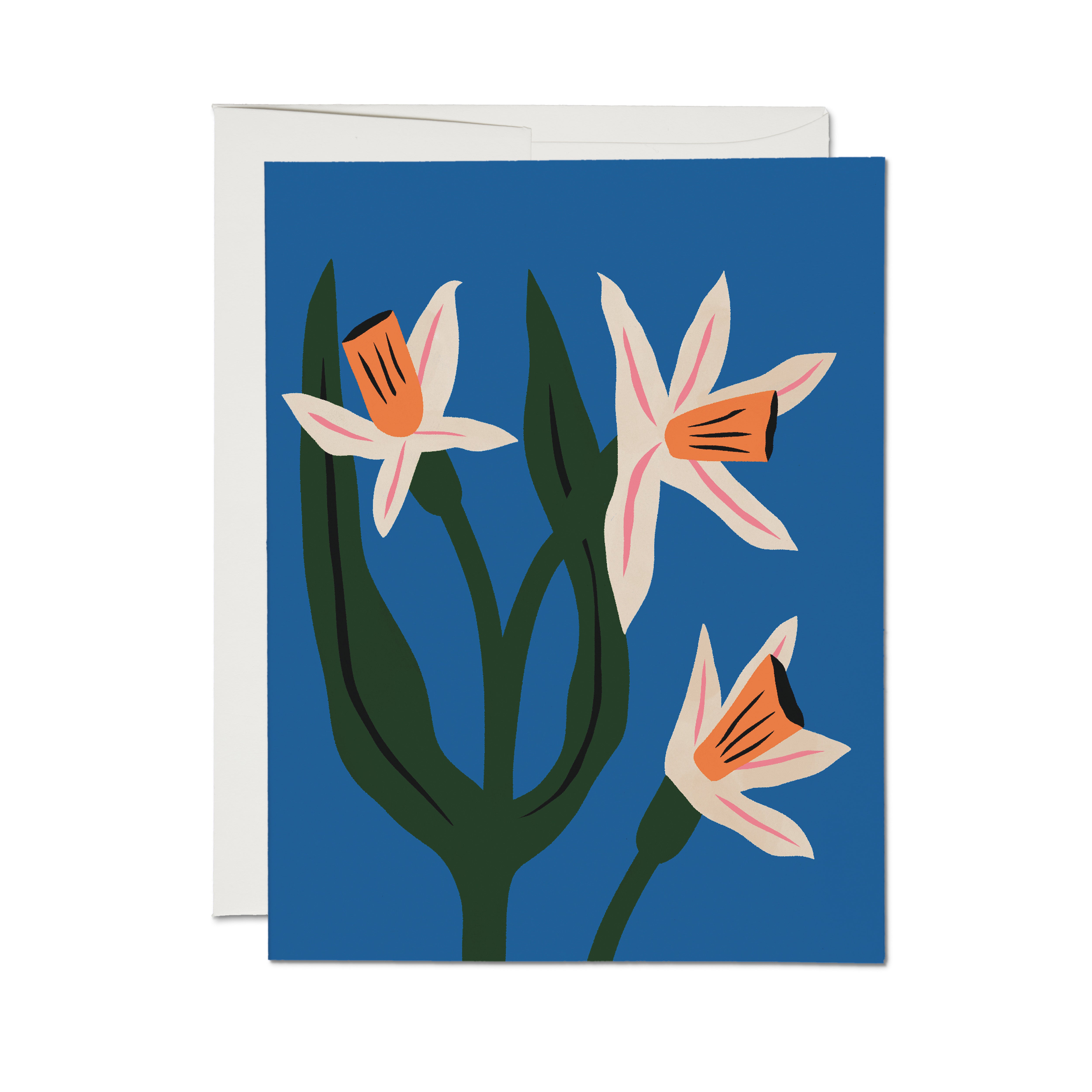 Greeting card with a green, pink, white and orange floral design on a blue background.