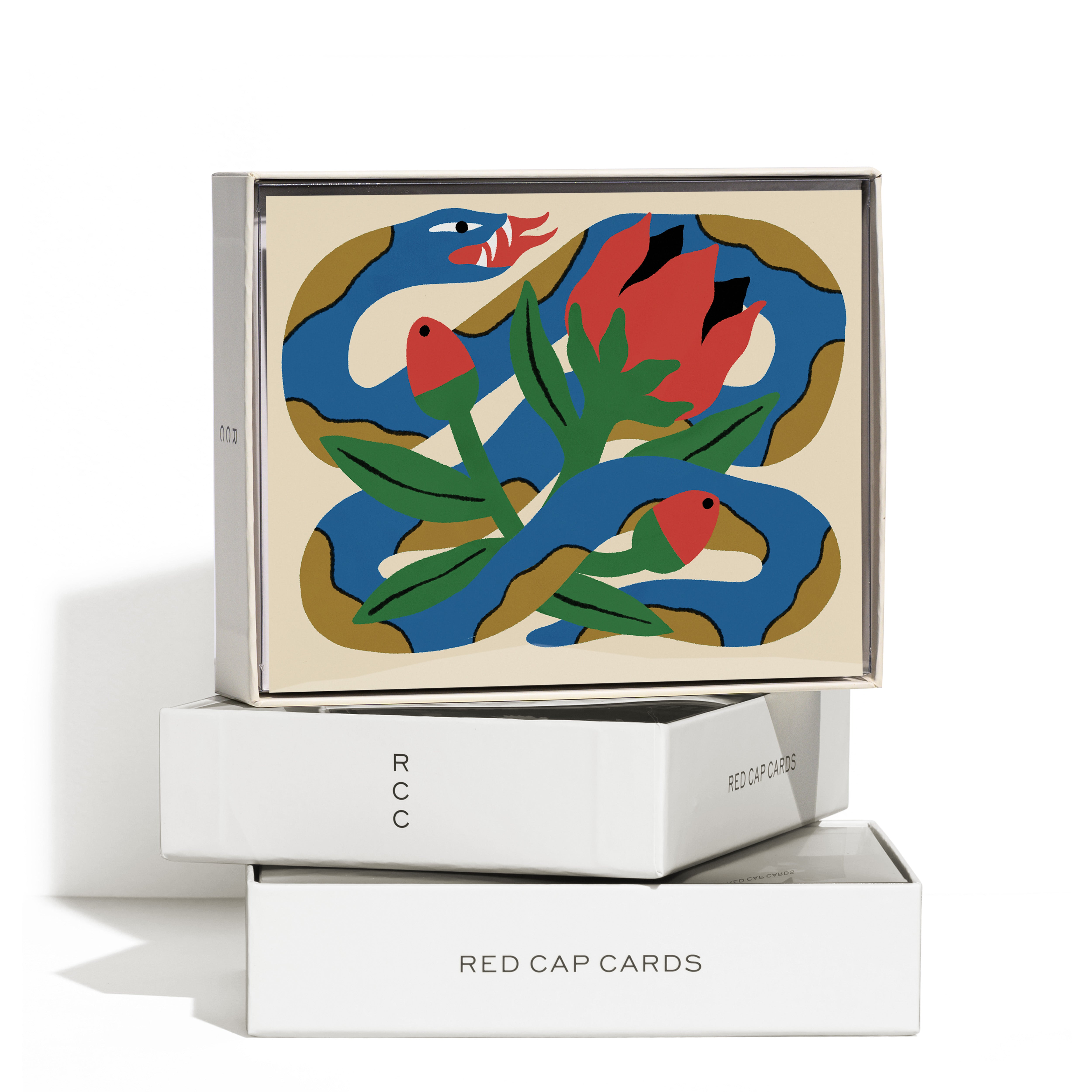 Boxed set of 8 Greeting cards with red, green, blue and yellow snake and flower pattern on beige background.