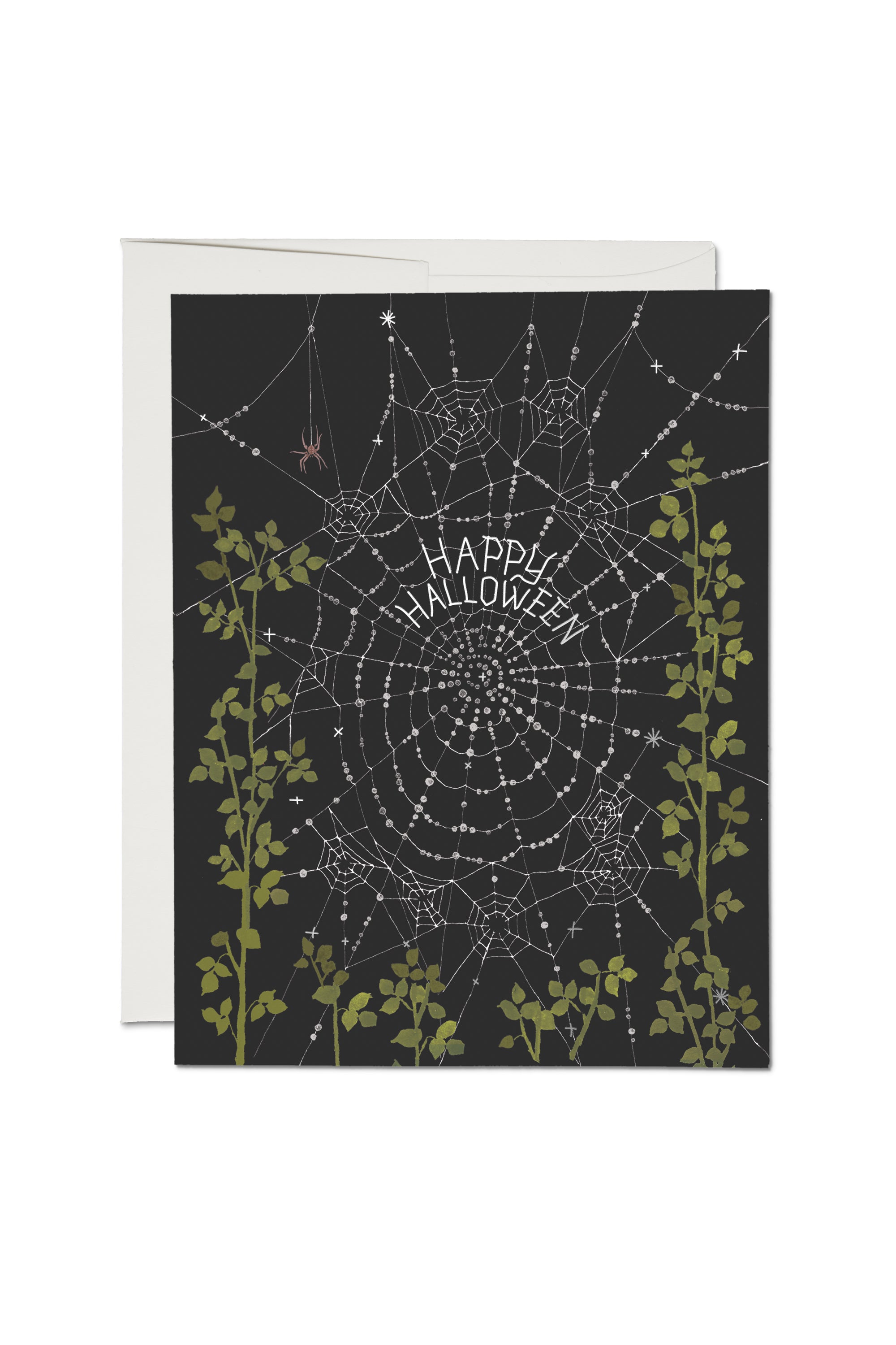 Delicate Spider Web greeting card