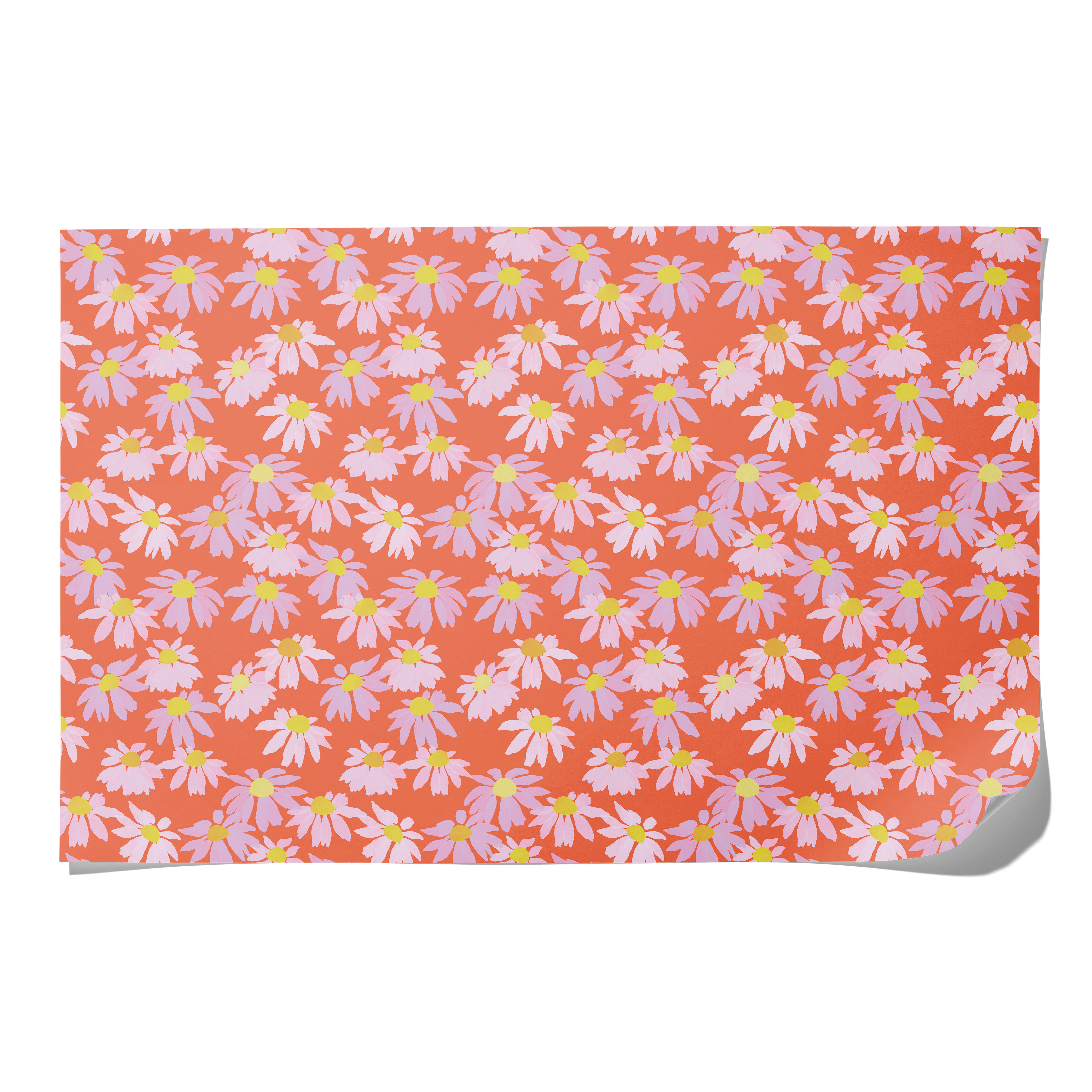Coneflower wrapping paper Single