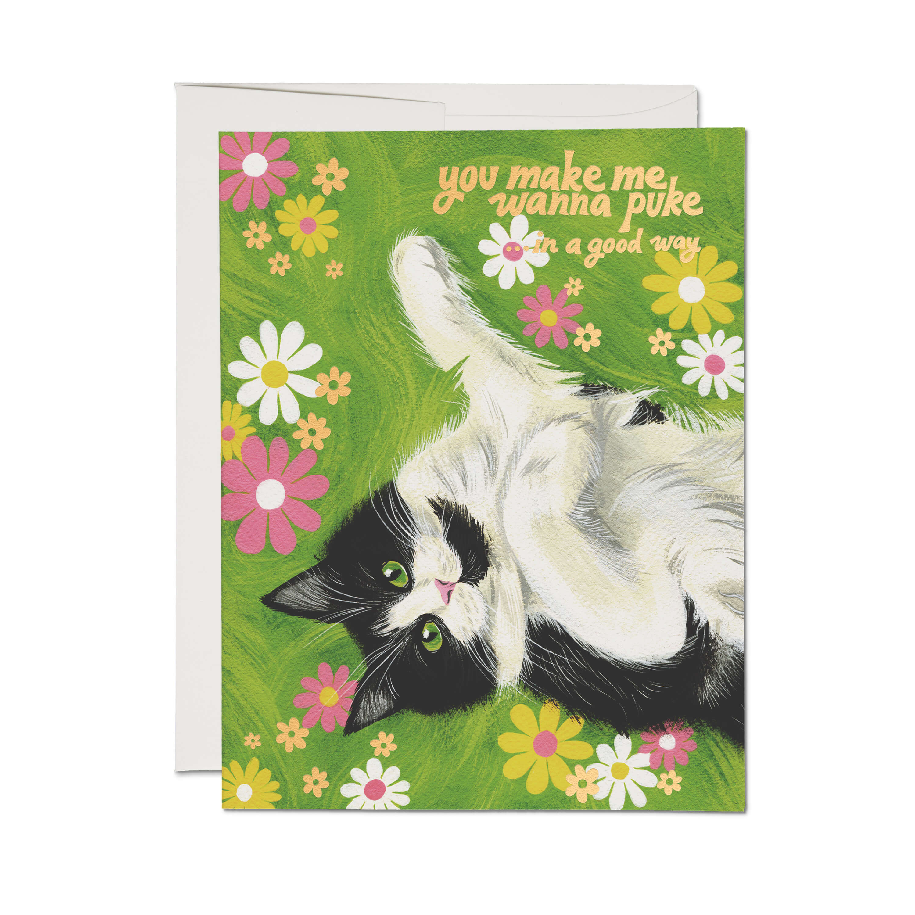 Nice Kitty greeting card Single