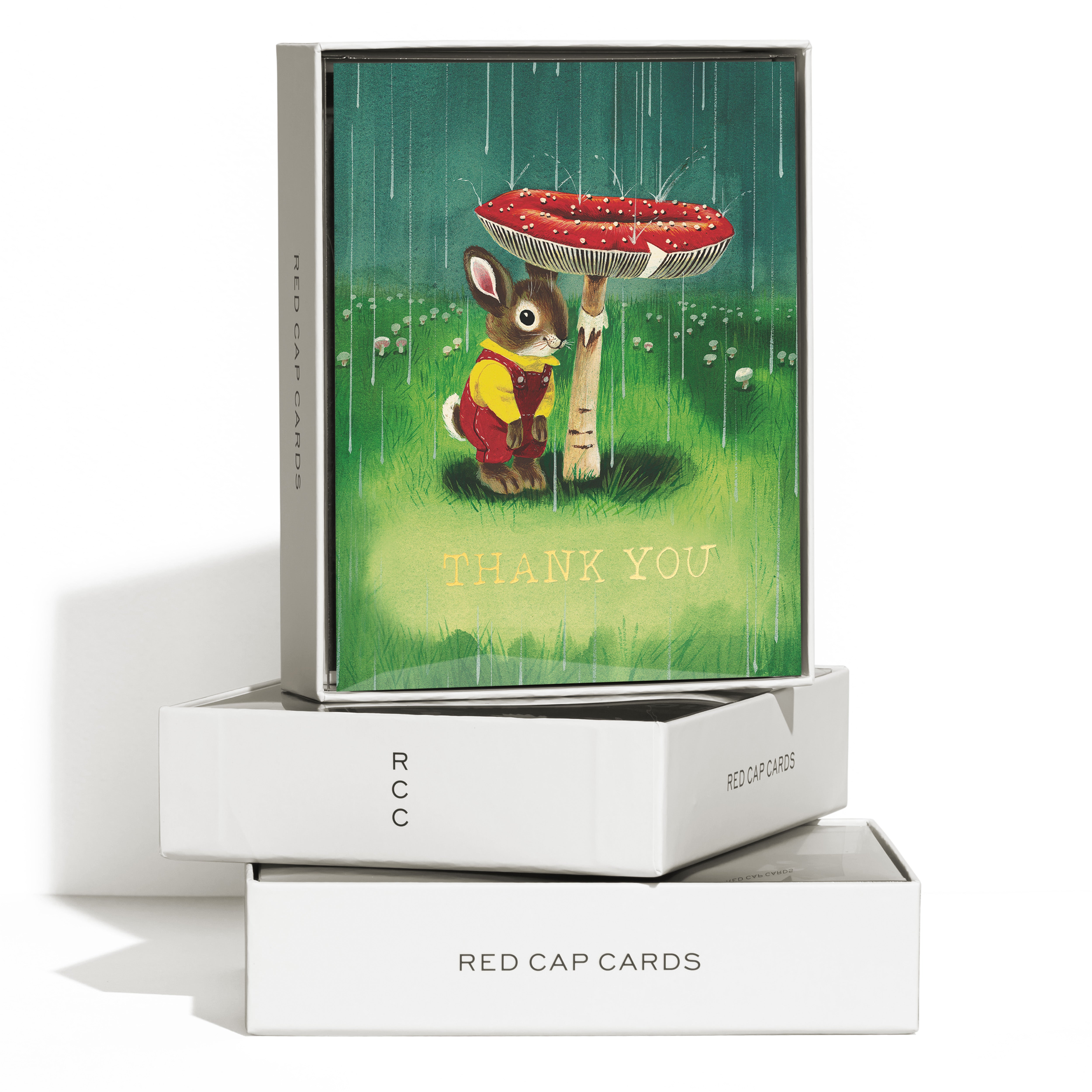 Boxed set of 8 "Thank You" cards with illustrated bunny hiding from the rain under a red mushroom in a green grass field.