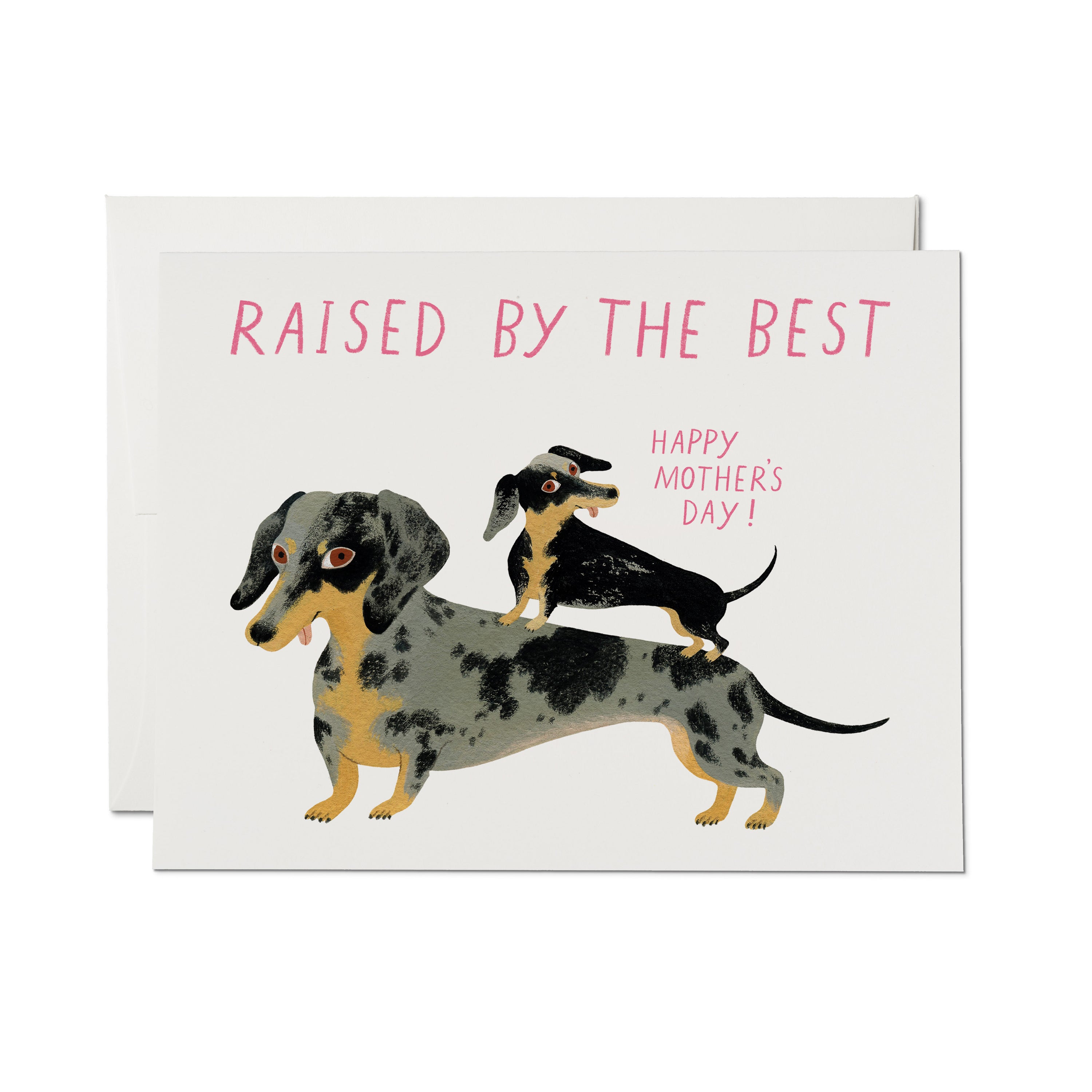 Mother's Day card with baby Dachshund standing on the back of a mom Dachshund with "Raised by the Best" text on white background.